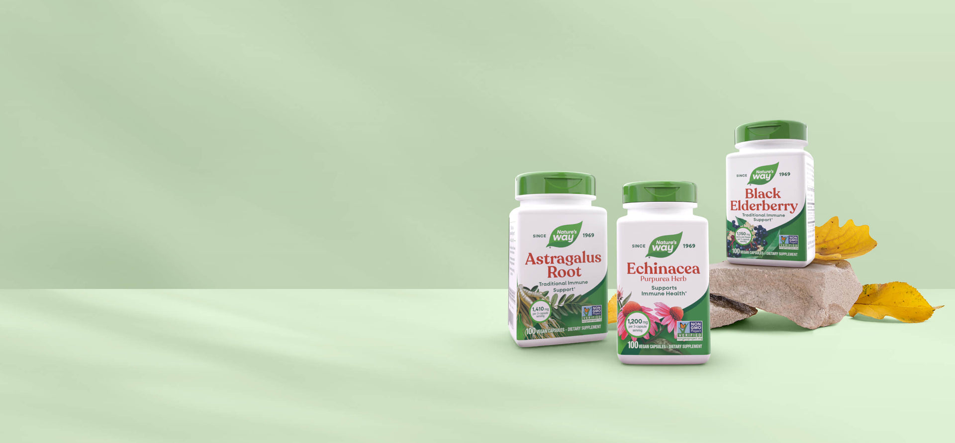Three supplement bottles labeled 'Astragalus Root', 'Echinacea', and 'Black Elderberry' on a light green background.