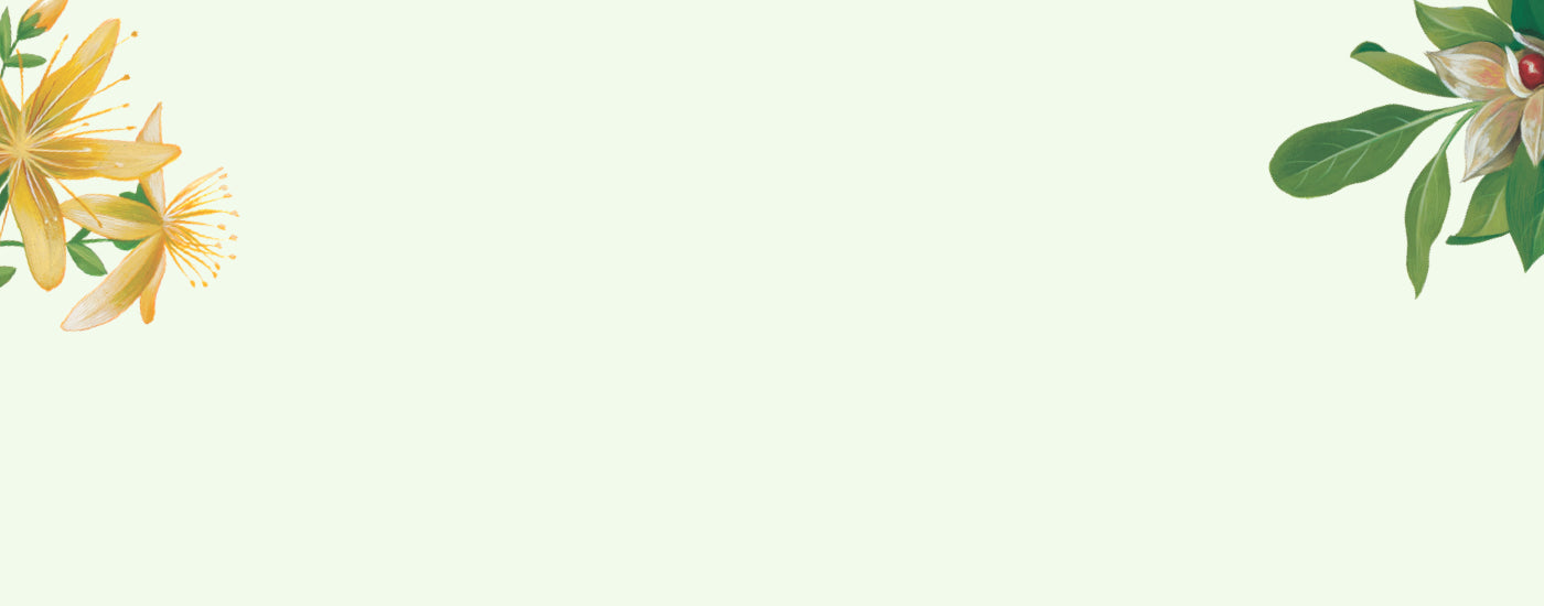 Herbs Drawing Banner